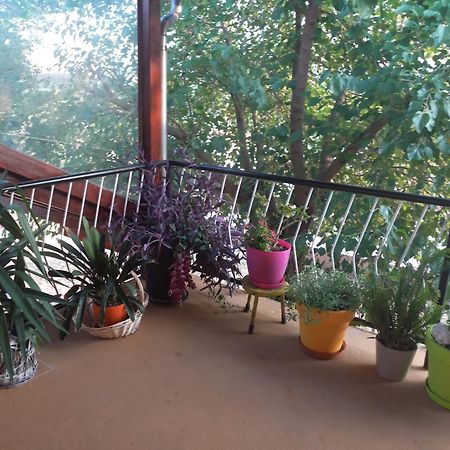 Apartmani Corleone Bilice Exterior photo